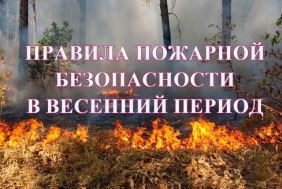Пожарная безопасность в весенний период.